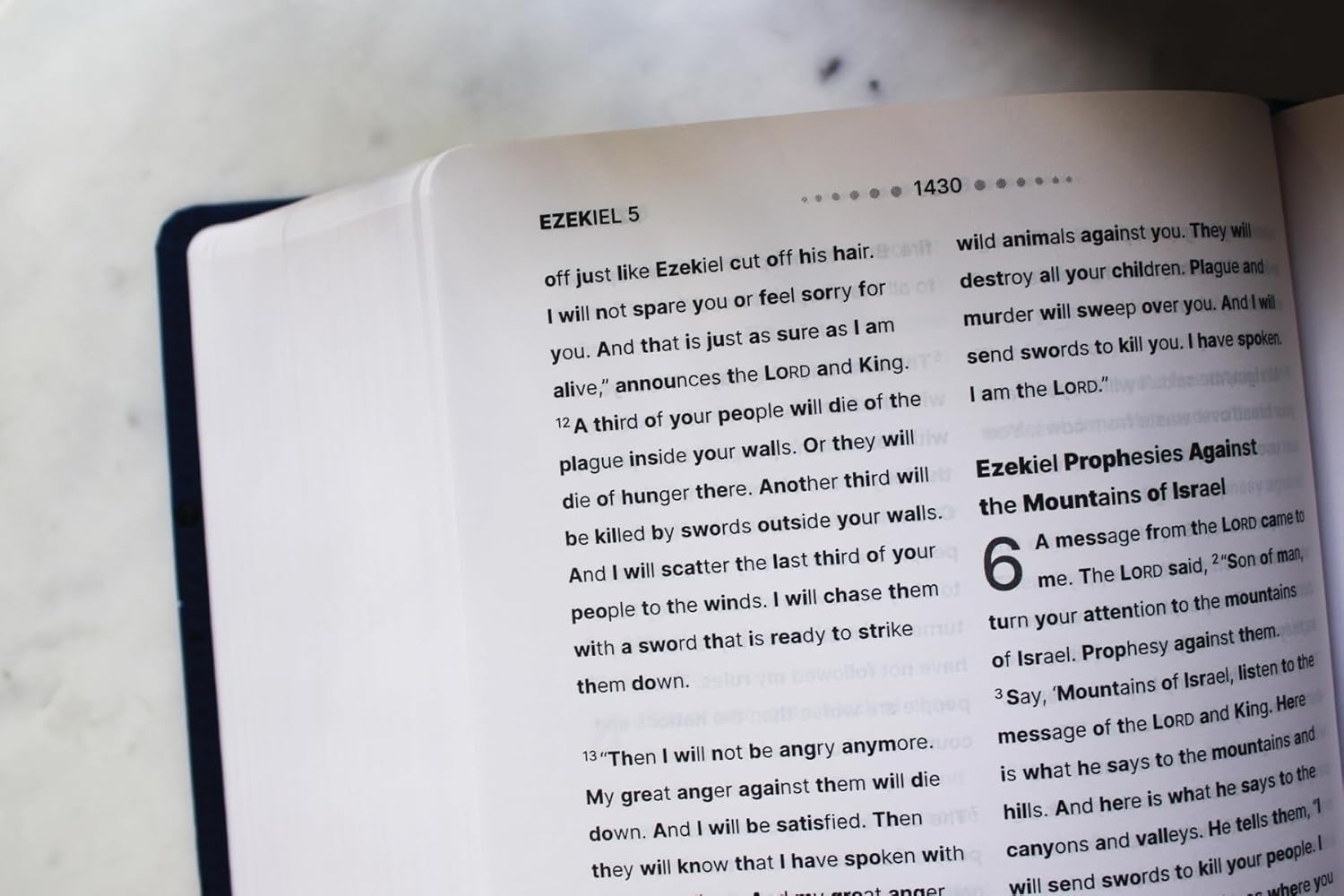 NIrV Clear Focus Bible (Navy Leathersoft)
