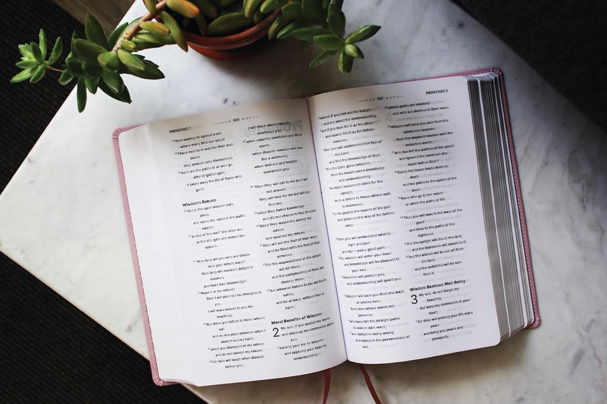 NIV Clear Focus Bible (Leathersoft Pink)