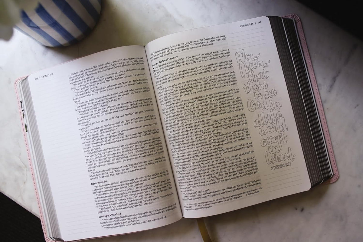 NIV Beautiful Word Coloring Bible (Leathersoft Pink)