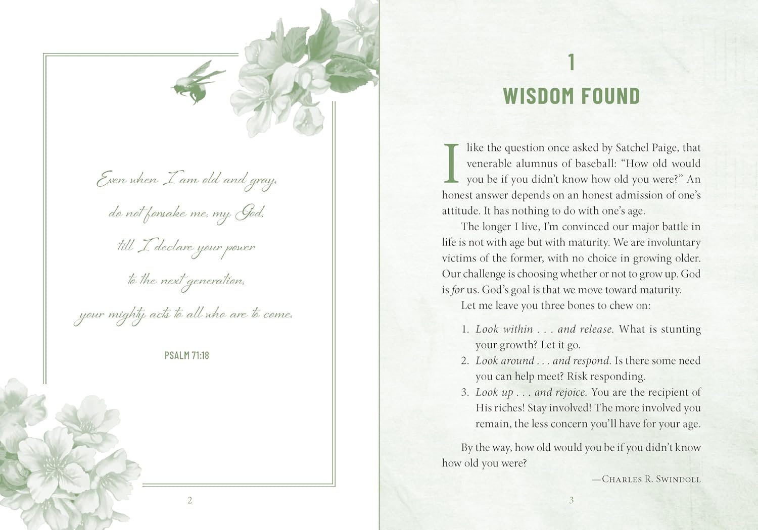 Devotions for Grandmas: A 40-Day Bible Devotional to Encourage and Inspire Grandmothers