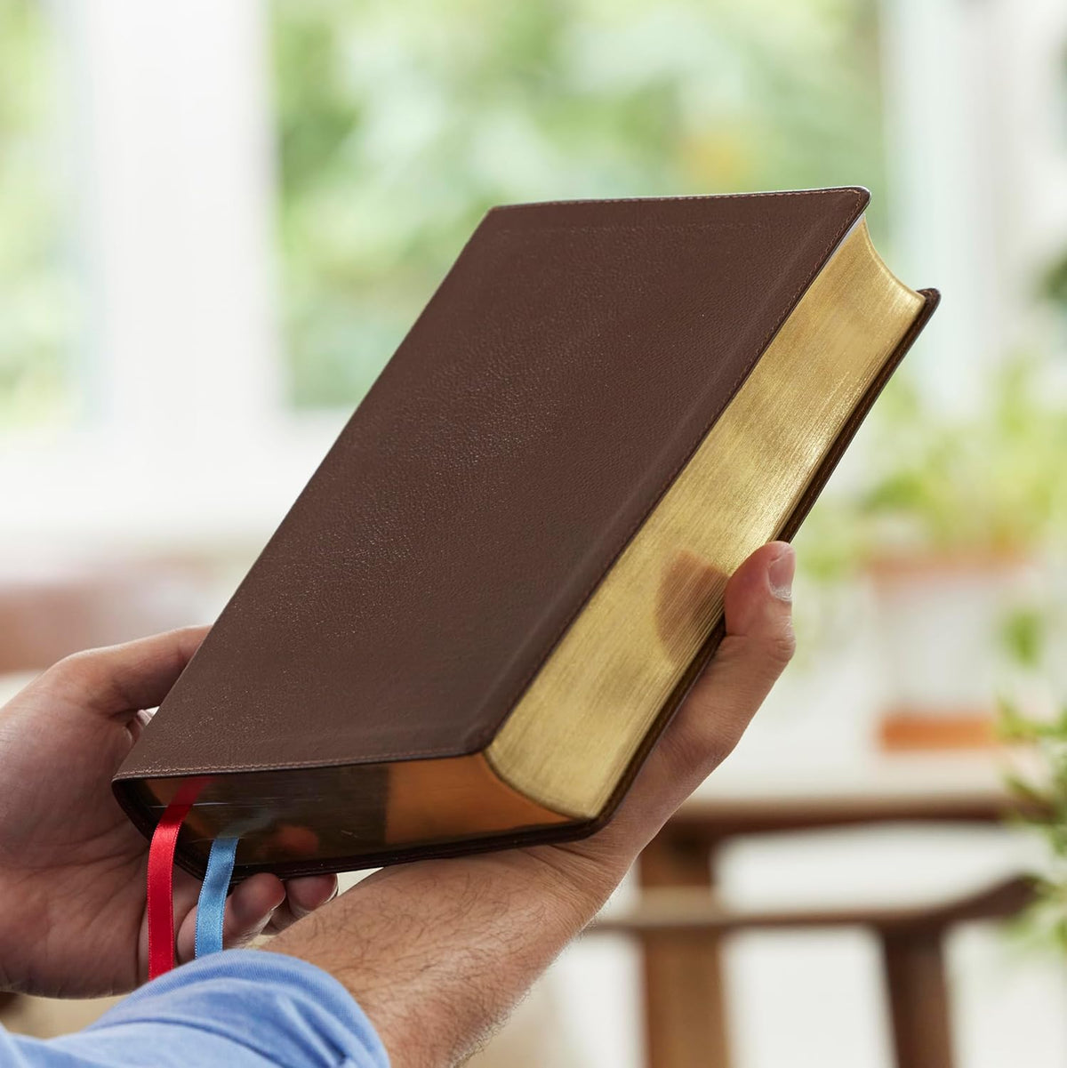 NET Bible Full Notes Edition (Brown Genuine Leather)