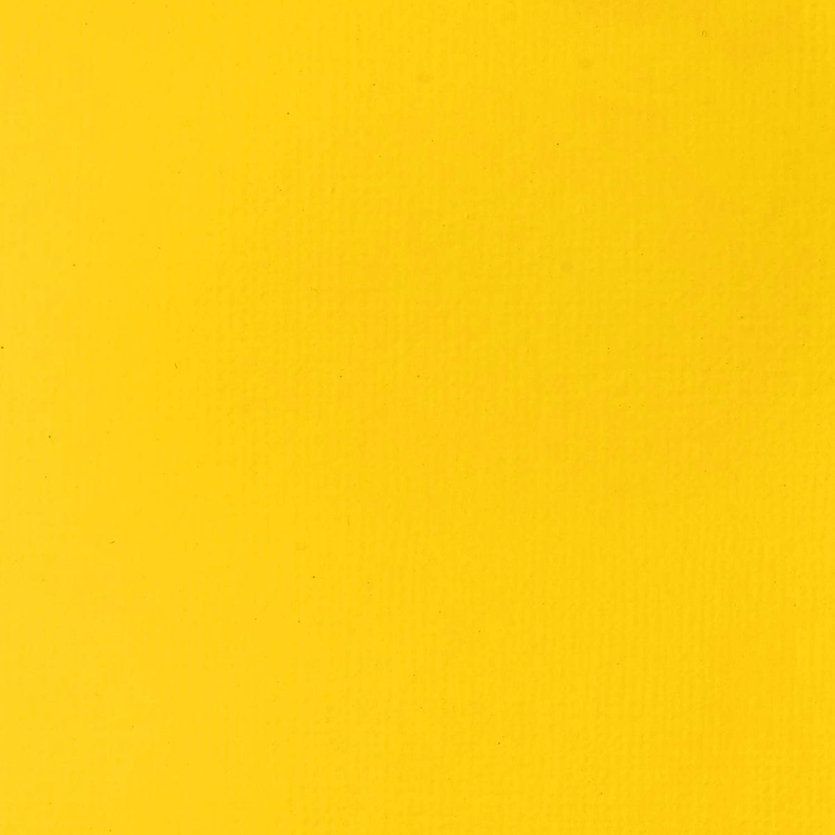 Liquitex Basics Acrylic Cadmium Yellow Light