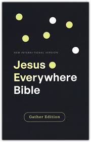 NIV Jesus Everywhere Bible