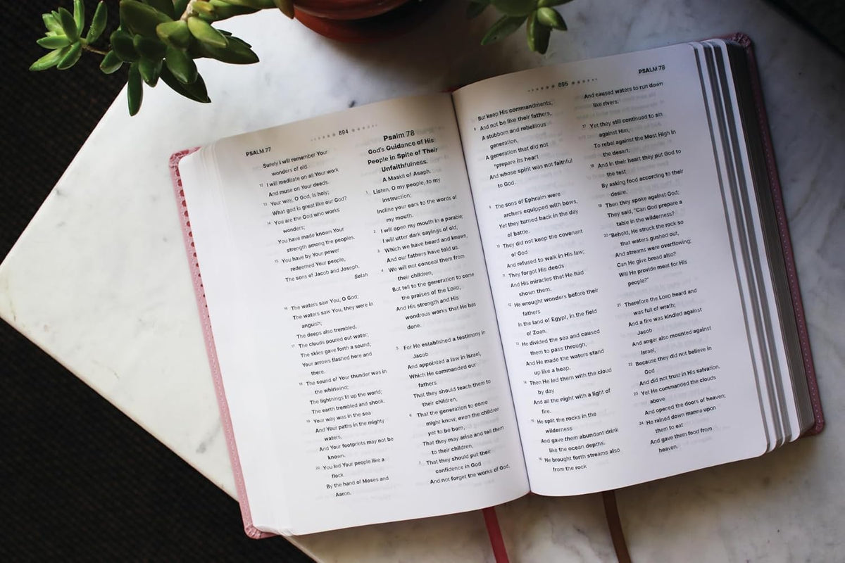 NASB Clear Focus Bible (Pink Leathersoft)