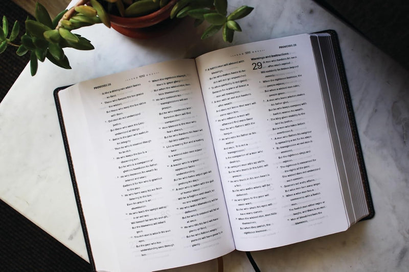 NASB, Clear Focus Bible, Leathersoft, Charcoal Brown: Read more of the Bible with better focus Imitation Leather