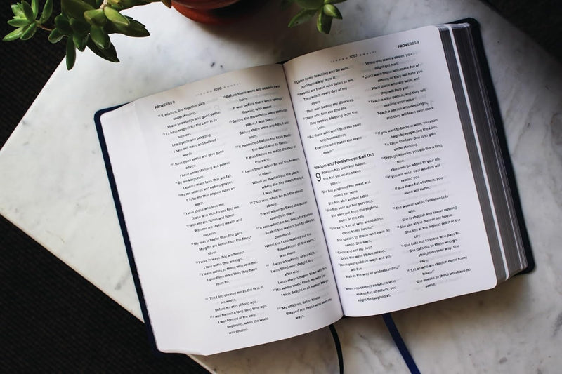 NIrV, Clear Focus Bible, Leathersoft, Navy: Read more of the Bible with better focus Imitation Leather