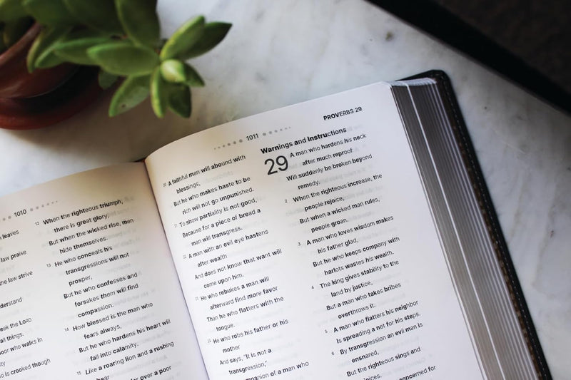 NASB, Clear Focus Bible, Leathersoft, Charcoal Brown: Read more of the Bible with better focus Imitation Leather