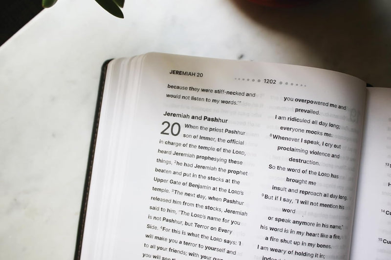 NIV, Clear Focus Bible, Leathersoft, Charcoal Brown: Read more of the Bible with better focus Imitation Leather