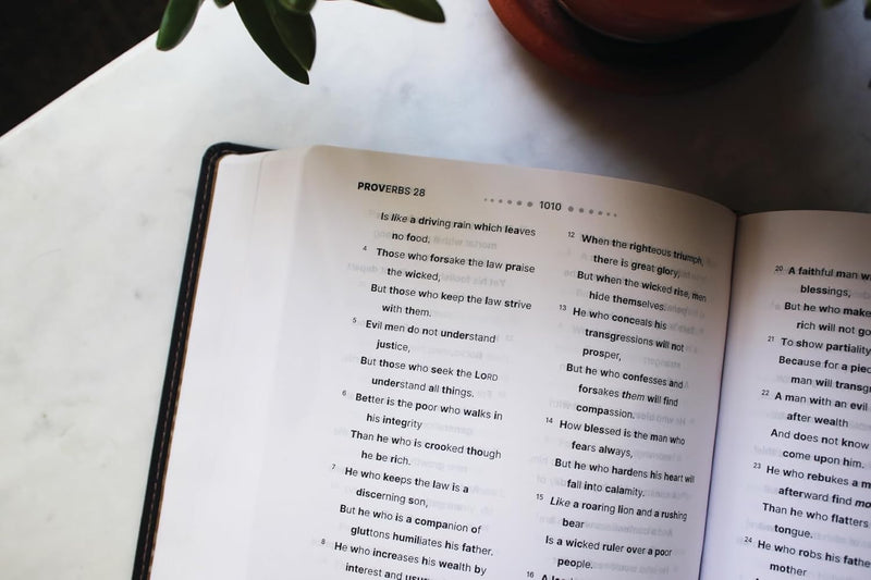 NASB, Clear Focus Bible, Leathersoft, Charcoal Brown: Read more of the Bible with better focus Imitation Leather