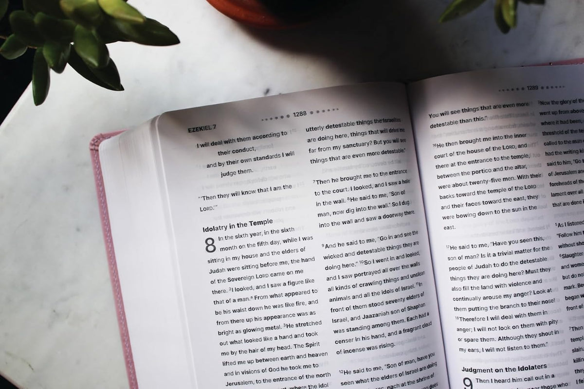 NIV Clear Focus Bible (Leathersoft Pink)