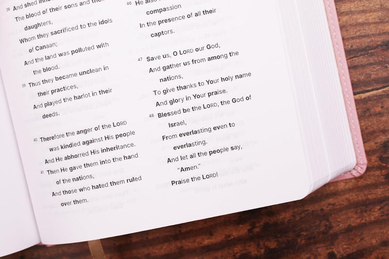 NASB, Clear Focus Bible, Leathersoft, Pink: Read more of the Bible with better focus Imitation Leather