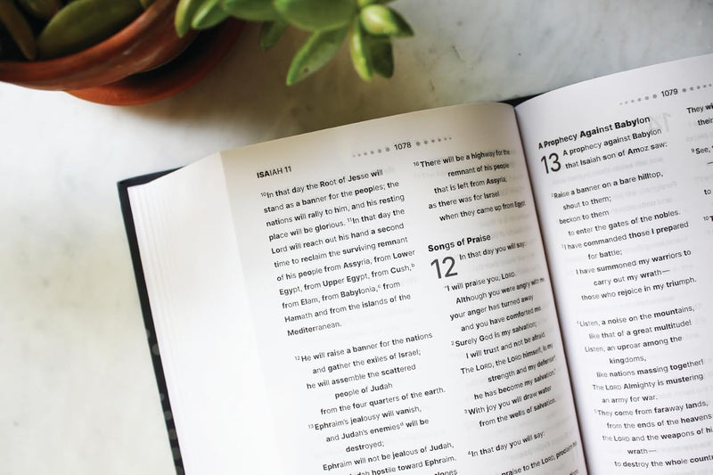 NIV, Clear Focus Bible, Hardcover, Charcoal/Copper: Read more of the Bible with better focus Hardcover