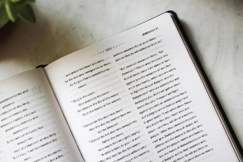 NIV, Clear Focus Bible, Leathersoft, Charcoal Brown: Read more of the Bible with better focus Imitation Leather