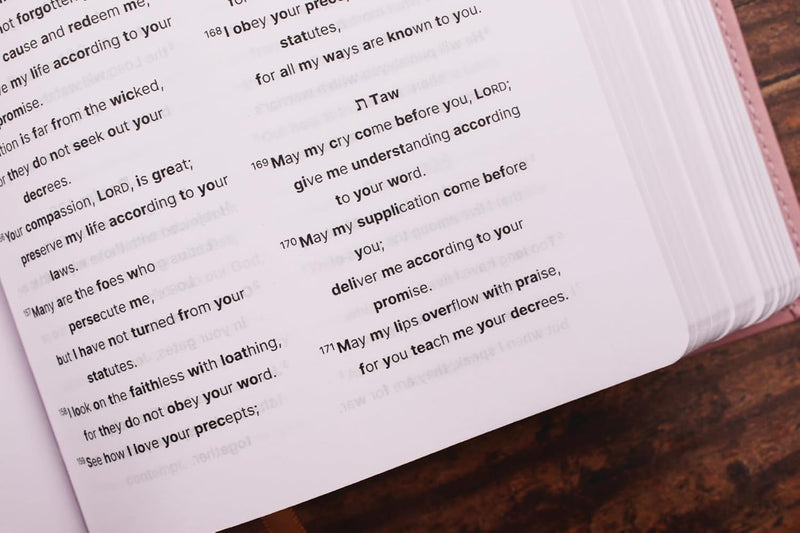 NIV, Clear Focus Bible, Leathersoft, Pink: Read more of the Bible with better focus Imitation Leather
