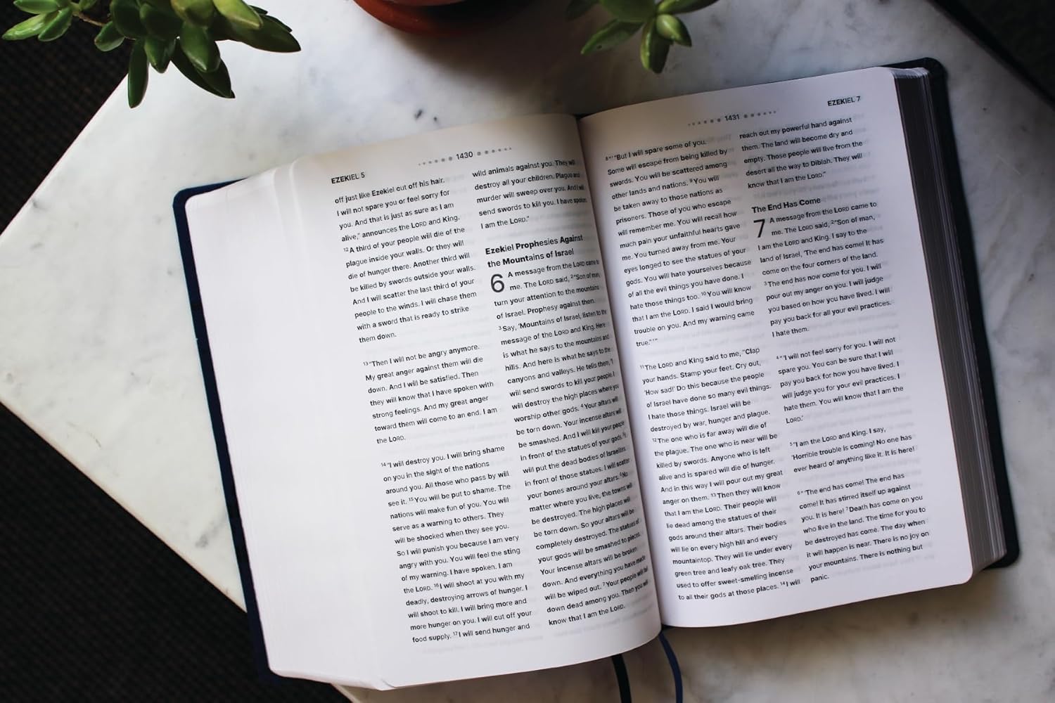 NIrV Clear Focus Bible (Navy Leathersoft)