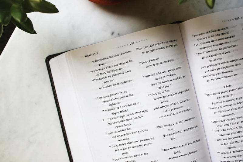 NIV, Clear Focus Bible, Leathersoft, Charcoal Brown: Read more of the Bible with better focus Imitation Leather