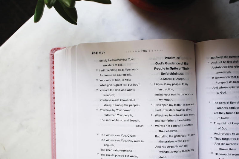 NASB, Clear Focus Bible, Leathersoft, Pink: Read more of the Bible with better focus Imitation Leather