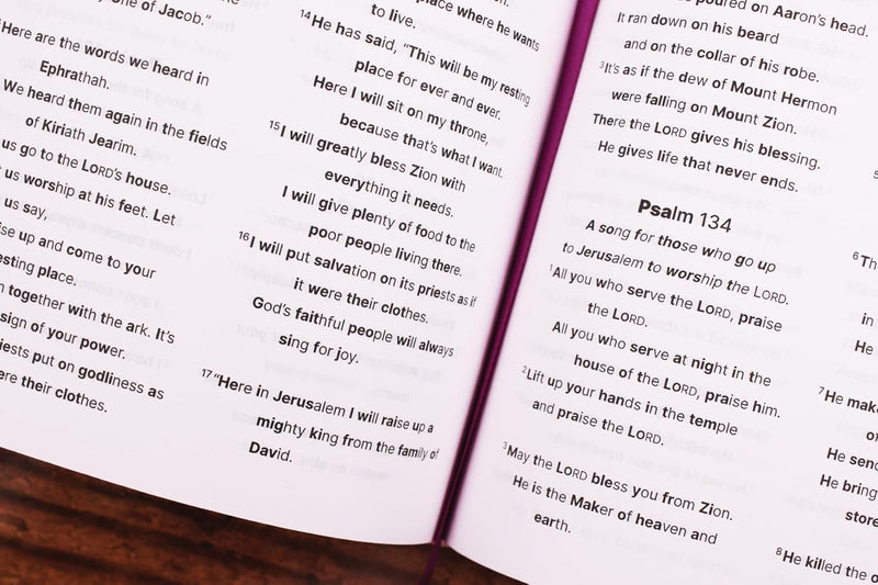 NIrV, Clear Focus Bible for Kids (Help Kids with ADHD or Dyslexia Read with Confidence), Leathersoft, Pink: Help Kids with ADHD or Dyslexia Read with Confidence Leather Bound