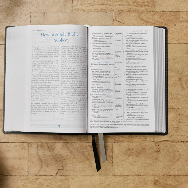 Alexander Maclaren Study Bible: Encouragement and Insights for a Christ-Centered Life (NKJV, Black/Gray Leathersoft, Comfort Print) Imitation Leather