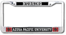 Nursing License Frame