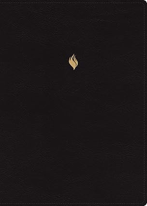 Biblia de Estudio de la Vida Plena edición  Clásica