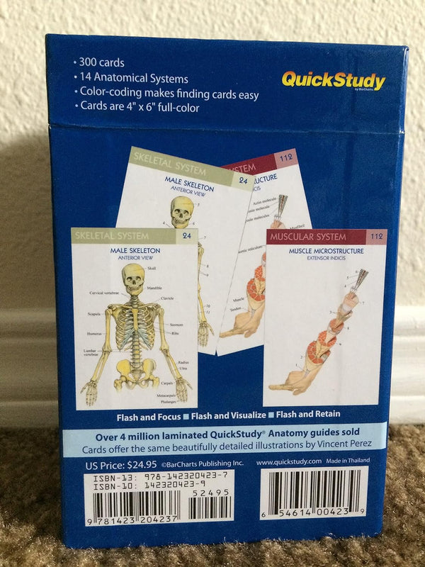 Quick Study Anatomy Flash Cards