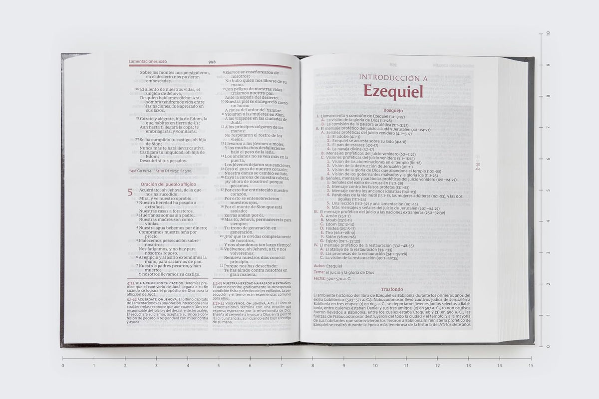 Biblia De Estudio Vida Plena