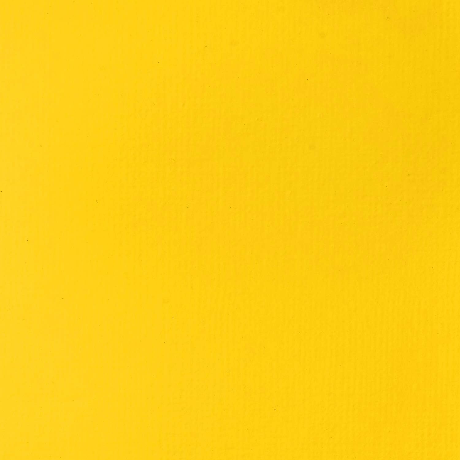 Liquitex Basics Acrylic Cadmium Yellow Light
