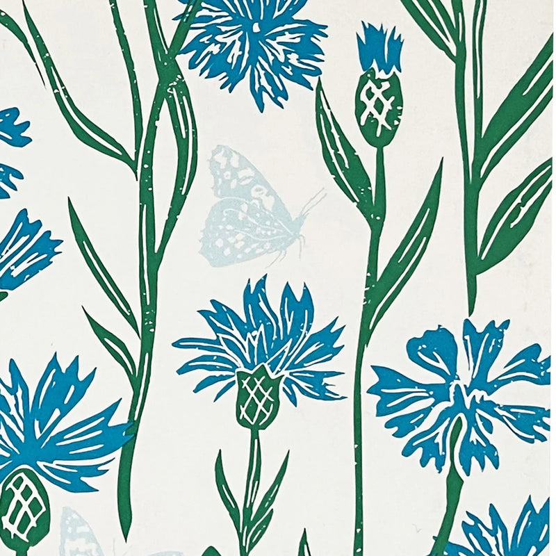 Decomposition Book, Cornflower