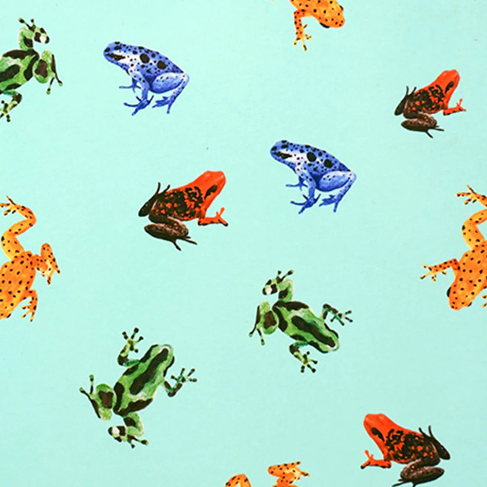 Jalapeno Composition Book, Dart Frog