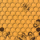 Decomposition Pocket Honeycomb