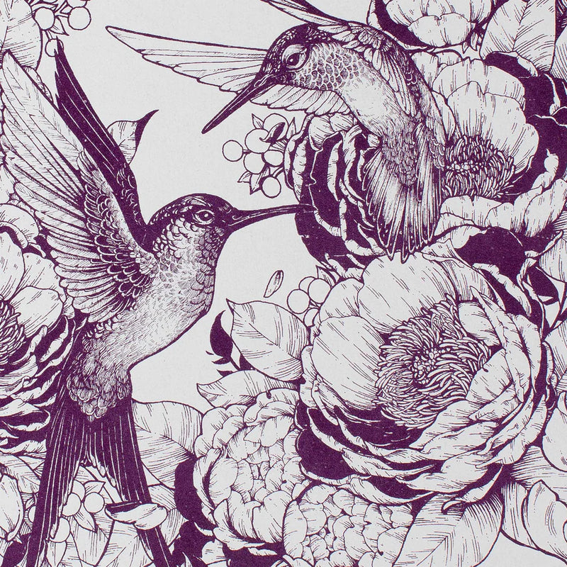 Decomposition Pocket Book, Hummingbirds