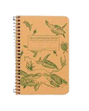 Decomposition Pocket Book, Sea Turtles
