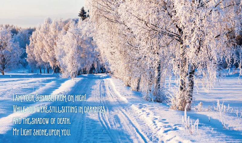 Jesus Calling for Christmas, Padded Hardcover, with Full Scriptures: Seasonal Devotions for Christmas (A 50-Day Devotional) – The Perfect Christian Gift for Advent and the Holiday Season