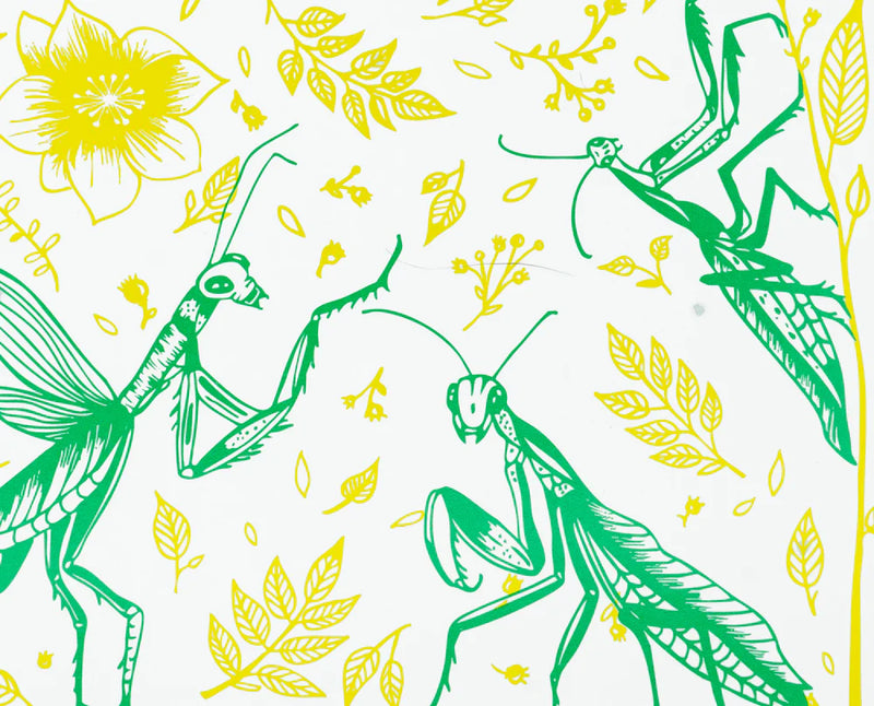 Decomposition Book, Praying Mantises