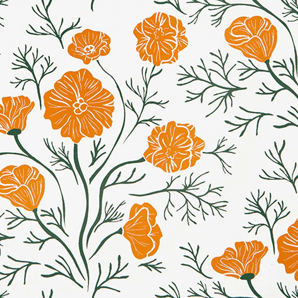 Decomposition Topbound Book, Ca Poppies