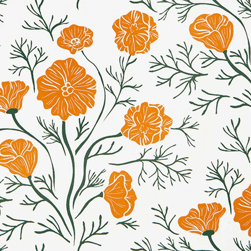 Decomposition Topbound Book, Ca Poppies