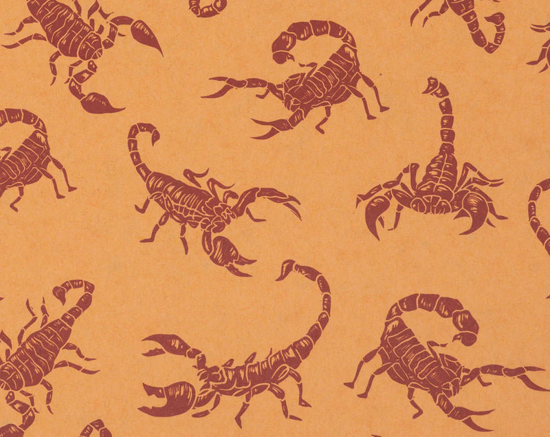 Decomposition Book, Scorpions