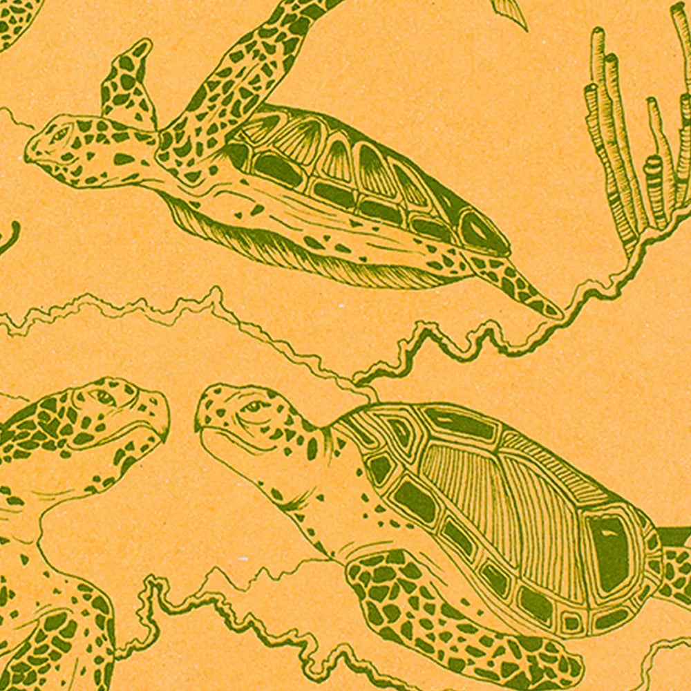Decomposition Pocket Book, Sea Turtles
