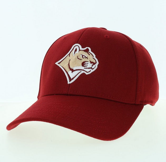 Legacy Mascot Stretch Fit Hat