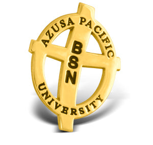 Nursing Pin BSN (Gold)