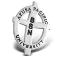 Nursing Pin BSN (Rhodium)
